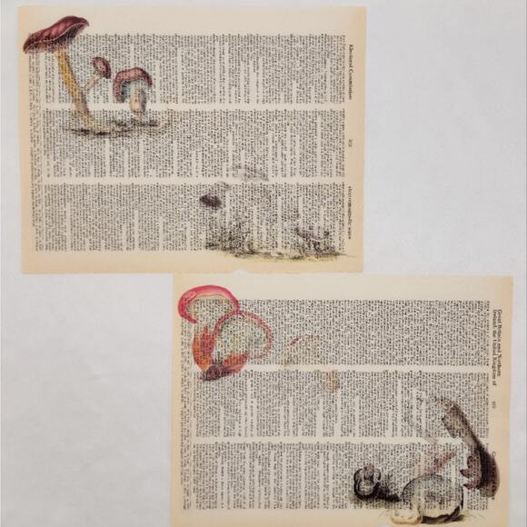Mushroom Dictionary Prints 4, Colorful Mushroom Prints, Book Page Prints - Picture 5 of 6